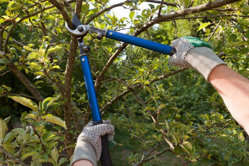 Tree Maintenance Equipment