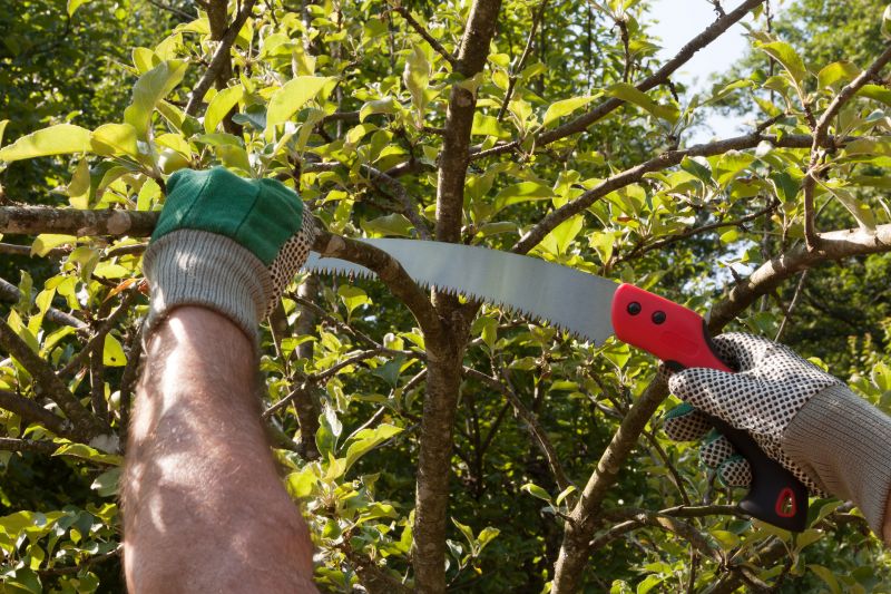 Tree Shaping and Pruning