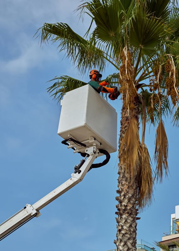 Prevent Falling Debris